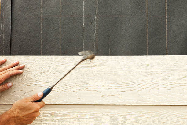 Best Vinyl Siding Installation  in Wrangell, AK